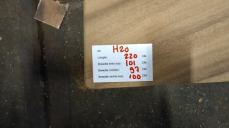 H20