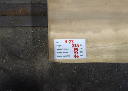 H23