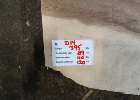 D14