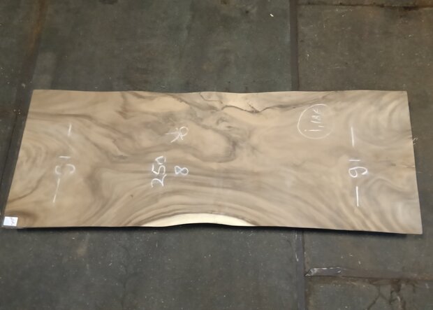 Suar boomstamblad 250x90x8cm