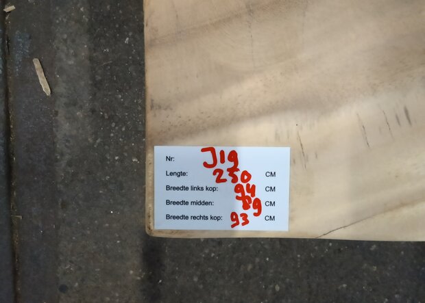 J19